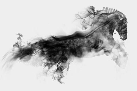 属马的男性和什么属相的女生最相配呢?