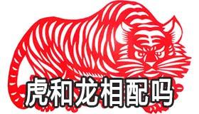 十二生肖配对中虎和龙相配吗 十二生肖配对中虎和龙相配吗