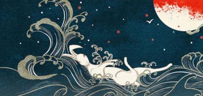 ​属兔的是哪年出生的 属兔的人养什么植物旺财