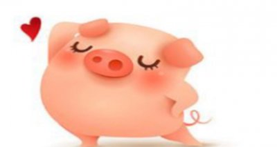 ​鼠和猪相配婚姻如何 鼠和猪相配生什么宝宝好