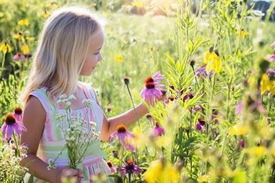 ​属鸡人九月出生八败什麽意思 命运好不好