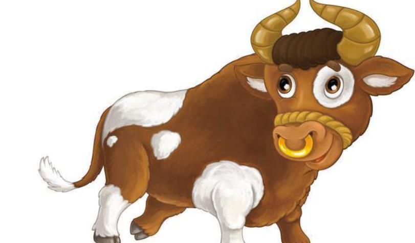 虎年属牛的运势怎么样 虎年属牛的戴什么吉祥物