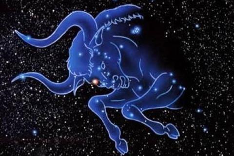 唯一能读懂金牛的星座
