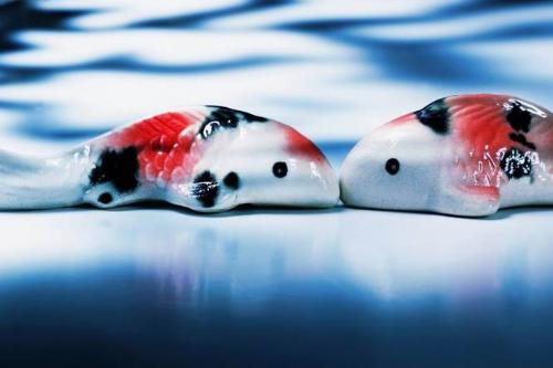 唯一可以虐双鱼的星座,非双子座莫属