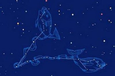 ​唯一能读懂双鱼的星座，处女最懂双鱼
