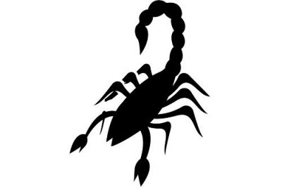 ​属什么的天蝎座命最好，属猪天蝎座命运极佳