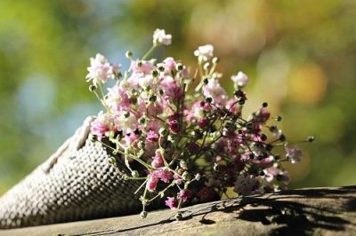 ​天蝎命中注定的真爱星座，巨蟹、金牛、射手