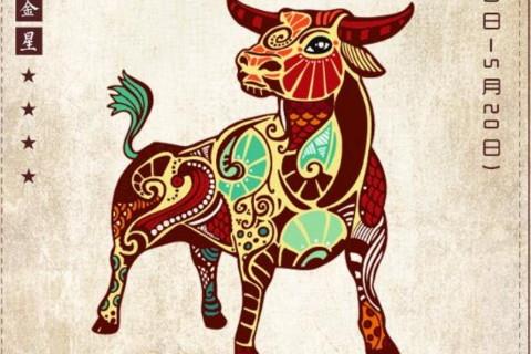 金牛座男生单身找不到女朋友的原因是什么