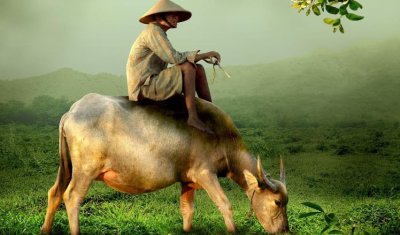 ​犬马之劳是什么生肖什么动物