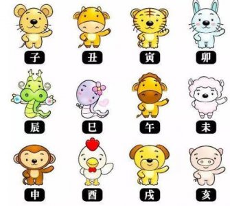 ​十二生肖相冲相克表   十二生肖相冲相克顺口溜