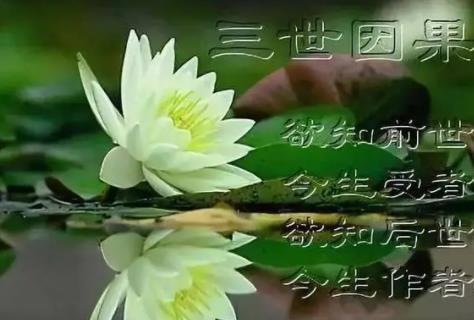 免费查自己三世因果 人真的有前世吗?