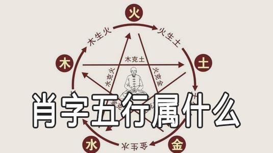 什么是生肖五行 肖字五行属什么