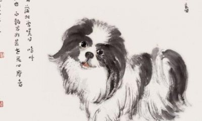 ​男鼠女狗的婚姻是否相配  男鼠女狗生什么属相宝宝好