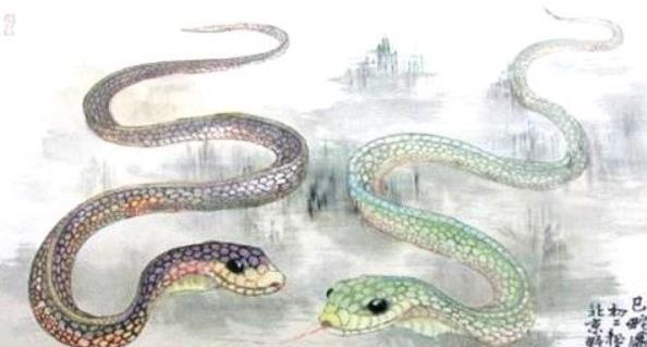 女鼠男蛇的婚姻怎么样 女鼠男蛇八字合吗