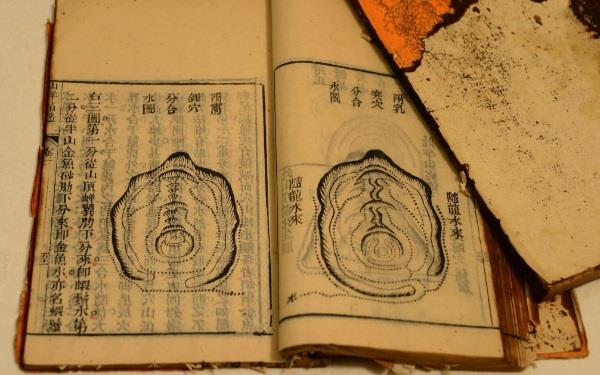 属虎双子座女生性格好吗 性格冲动很有魅力