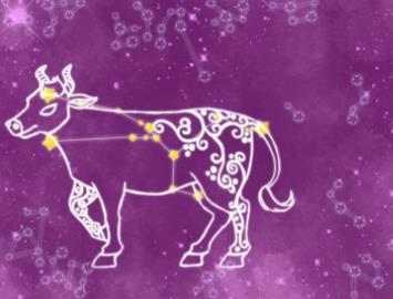 用情最深的四大星座,爱你爱到痴狂