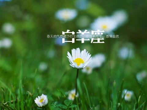 会因为什么事情引起白羊座人对你冷淡不理你