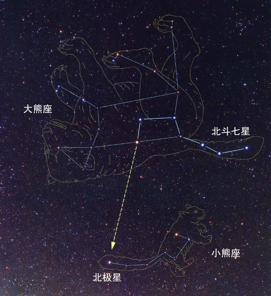 星座中的装熊星座是哪个,你猜对了吗?