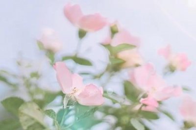 ​订书机如何在纸中间装订的订书机不够长怎么订书