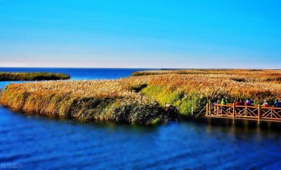 ​居延海！一个极具传奇色彩的湖泊