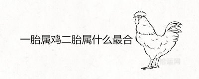 ​一胎属鸡二胎属什么最合