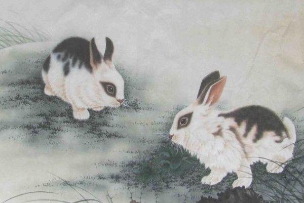 七月出生的兔子命运怎么样 生肖兔几月出生好命