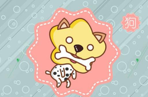 男属狗女属马的婚配好不好? 男属狗女属兔婚配好吗?