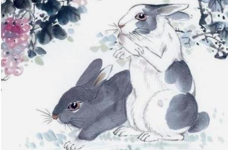 属兔的一生有几个情人,属兔的和情人会怎么样子的