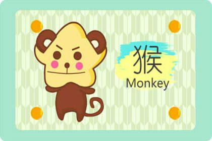 荣华富贵今中事是什么生肖 猪猴虎鼠 荣华富贵今中事是什么生肖 猪猴虎鼠