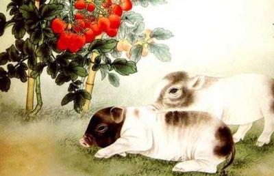 心态乐观不计较得失的三个生肖