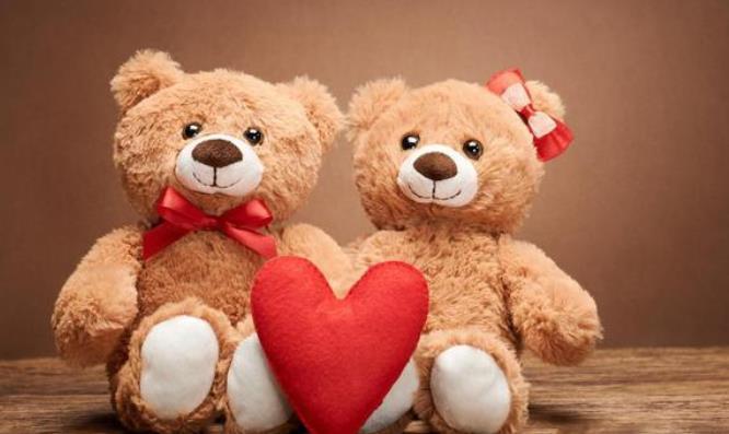 属狗与属虎的婚姻合吗 属狗与属虎相结合怎么样