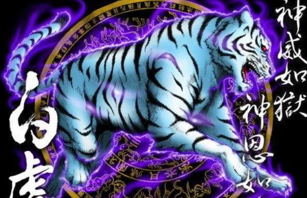 虎和龙的婚配如何 虎与龙的属相合不合