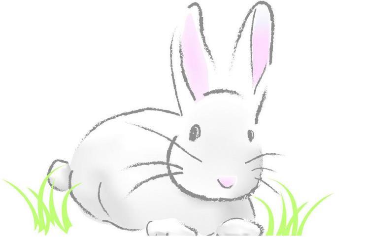 属兔和属鼠合不合?婚姻如何