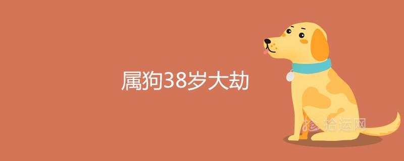 属狗38岁大劫会经历什么 如何化解劫难 属狗38岁大劫会经历什么 如何化解劫难