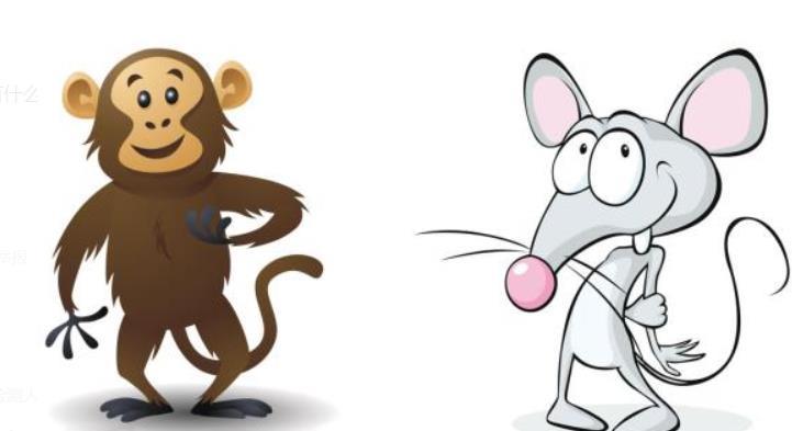 属猴和属鼠的婚姻如何 属猴和属鼠的合不合财