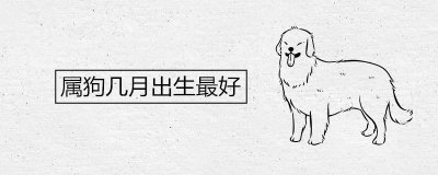​属狗几月出生最好命富贵