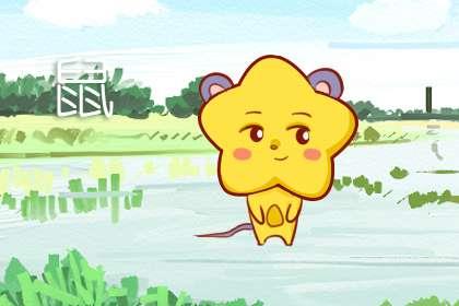 2008年出生属鼠的人今年的运势如何