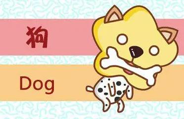 生肖狗和什么生肖最般配？和哪个生肖最不配？