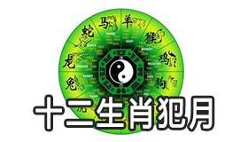 十二生肖犯月与旺月查询 十二生肖犯月与旺月查询