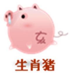 属鸡和属猪的合不合:属鸡的和属猪的合不合