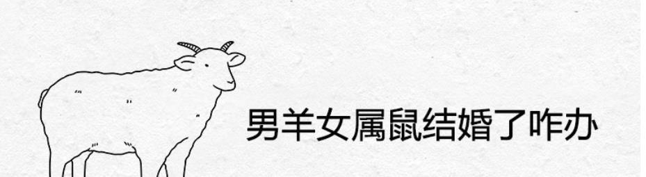 男鼠女羊婚姻是否相配   男鼠女羊能过一辈子吗