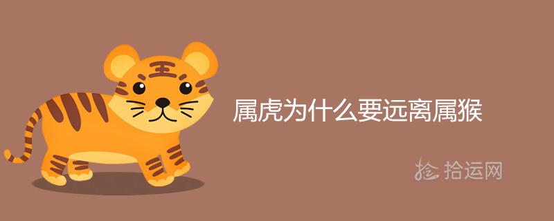 属虎为什么要远离属猴 在一起谁克谁