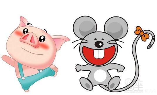 男鼠女猪配不配？婚姻好吗？