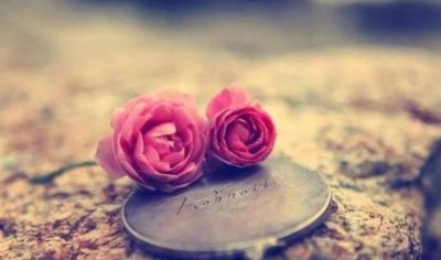 ​属蛇与属马的婚姻合吗？属蛇与属马的婚姻如何