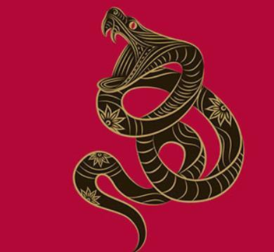 女虎男蛇的婚姻怎么样  女虎男蛇的婚姻指数是多少