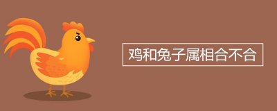 ​鸡和兔子属相合不合