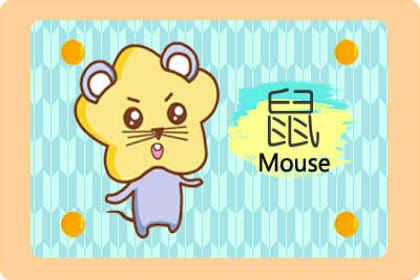 属鼠的人忌配什麽属相 感情最怕什麽