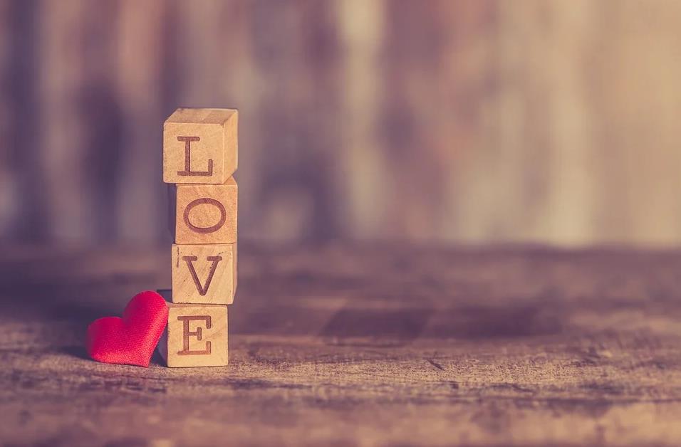 从属相看蛇和狗的婚姻怎么样