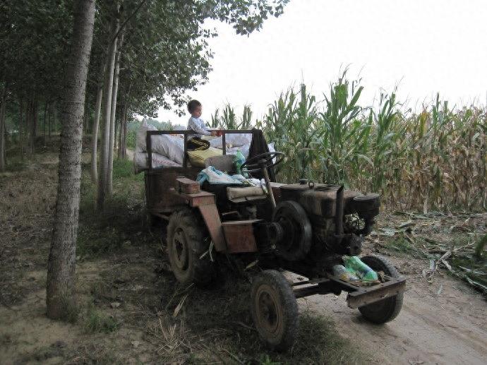 10张图,这样的收玉米场景,你是否熟悉?满满的乡愁啊