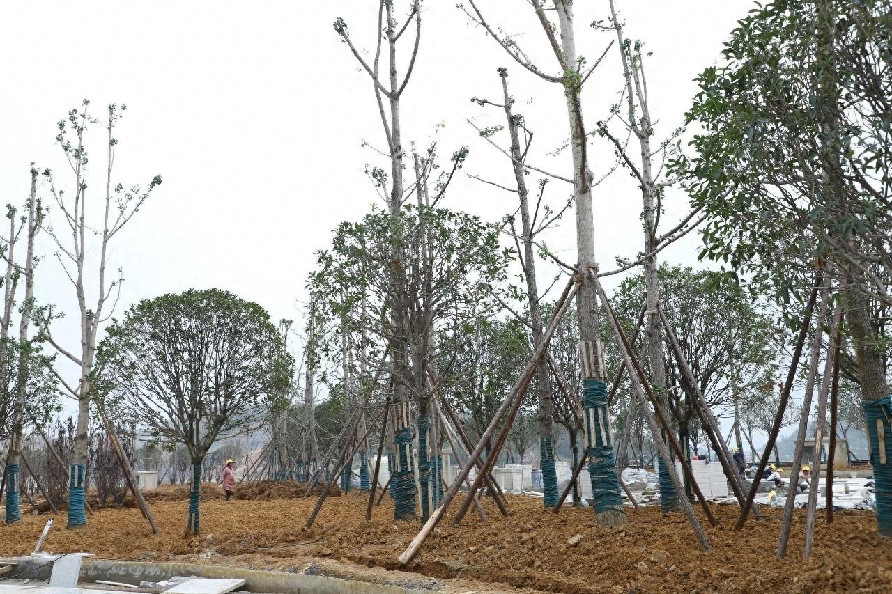 贵州“市市通高铁”又迈出了坚实的一步！12月26日毕节即将通高铁